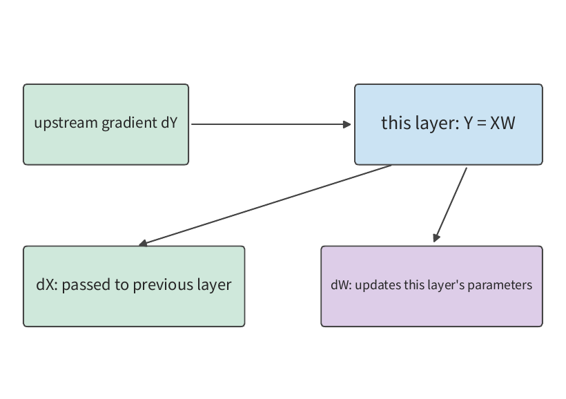 Hình 10-11 Backward pass của ma trận tạo ra hai nhánh gradient: dX được truyền sang layer trước để tiếp tục lan truyền ngược, dW được chuyển cho phần giảm và cập nhật tham số của layer này. Cả hai nhánh đều đọc gradient từ phía trên là dY.